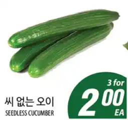 Joong Boo Market SEEDLESS CUCUMBER offer