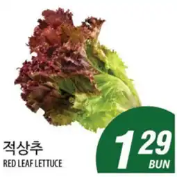 Joong Boo Market RED LEAF LETTUCE offer
