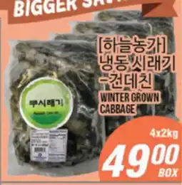 Joong Boo Market WINTER GROWN CABBAGE offer