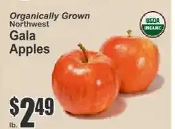 Key Food Gala Apples offer