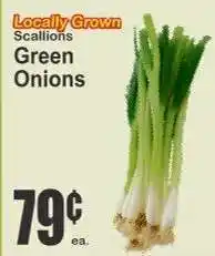 Key Food Green Onions offer