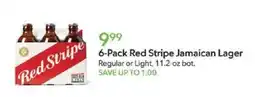 Publix Red Stripe Jamaican Lager offer