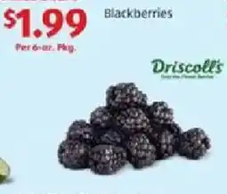 Aldi Blackberries offer