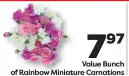 Weis Markets Value Bunch of Rainbow Miniature Carnations offer