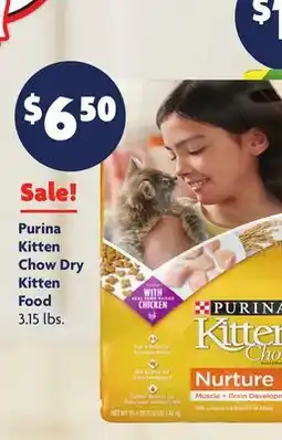 Family Dollar Purina Kitten Chow Dry Kitten Food offer