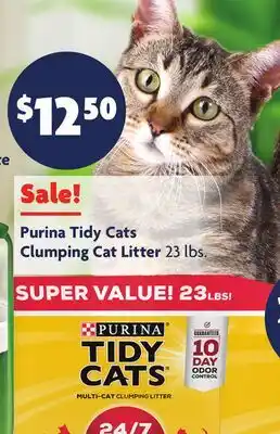 Family Dollar Purina Tidy Cats Clumping Cat Litter offer