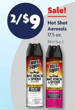 Family Dollar Hot Shot Aerosols offer