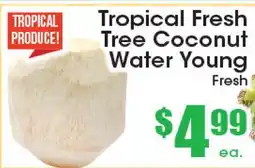 Supremo Foods Inc Tropical Fresh Tree Coconut Water Young offer