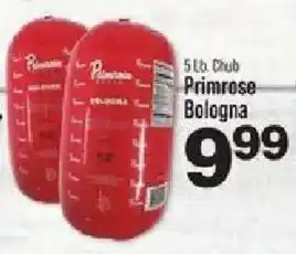 IGA Primrose Bologna offer