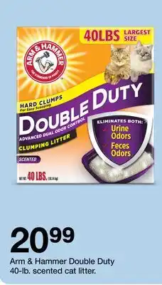 Target Arm & Hammer Double Duty 40-lb. scented cat litter offer