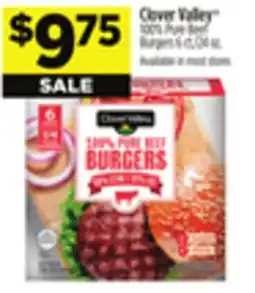 Dollar General Clover Valley 100% Pure Beef Burgers offer