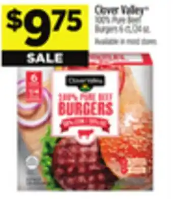 Dollar General Clover Valley 100% Pure Beef Burgers offer