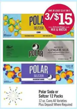 Price Chopper Polar Soda or Seltzer 12 Packs offer