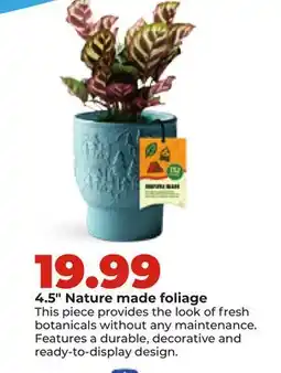 Hy-Vee 4.5 Nature made foliage offer