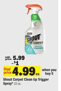 Meijer Shout Carpet Clean Up Trigger Spray offer