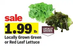 Meijer Locally Grown Green or Red Leaf Lettuce offer