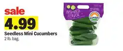Meijer Seedless Mini Cucumbers offer