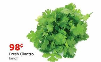 Fareway Fresh Cilantro offer