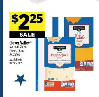 Dollar General Clover Valley Natural Sliced Cheese offer