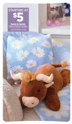 Dollar General Denim & Daisies Pillow Collection Assorted offer