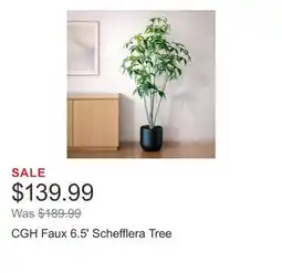 Costco CGH Faux 6.5' Schefflera Tree offer