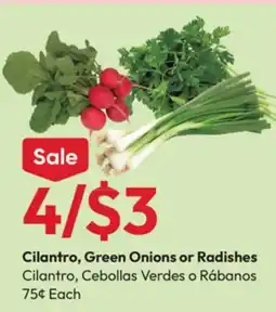 Stater Bros Cilantro, Green Onions or Radishes offer