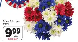 Vons Stars & Stripes Poms offer