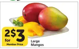 Albertsons Large Mangos offer