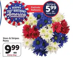 Albertsons Stars & Stripes Poms offer