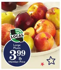 Pavilions Large Pluots offer