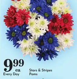 Pavilions Stars & Stripes Poms offer