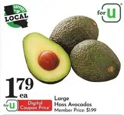 Pavilions Large Hass Avocados offer