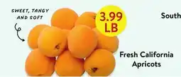 Fresh Thyme Fresh California Apricots offer