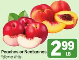 Tony’s Fresh Market Peaches or Nectarines offer