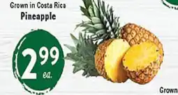 Rio Valley Market Pineapple offer