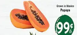 Rio Valley Market Papaya offer