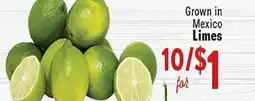 Rio Valley Market Grown in Mexico Limes offer
