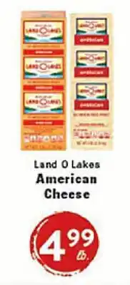 Rio Valley Market Land O Lakes American Cheese offer