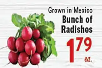 Rio Valley Market Bunch of Radishes offer
