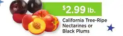 Heinen's California Tree-Ripe Nectarines or Black Plums offer