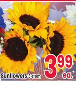 Jewel-Osco Sunflowers offer
