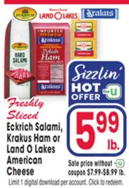 Jewel-Osco Eckrich Salami, Krakus Ham or Land O Lakes American Cheese offer