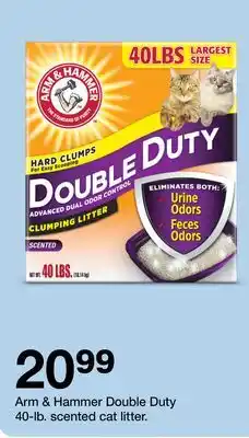 Target Arm & Hammer Double Duty 40-lb offer