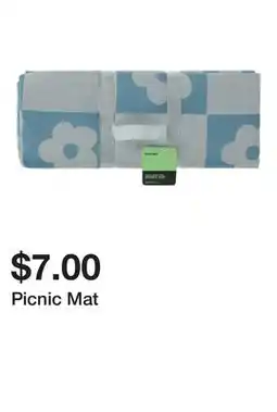 Five Below Picnic Mat offer