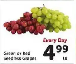 Safeway Green or Red Seedless Grapes offer