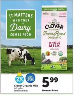 Safeway Clover Organic Milk offer