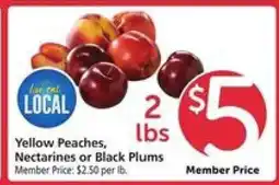 Safeway Yellow Peaches, Nectarines or Black Plums offer