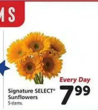 Safeway Signature SELECT Sunflowers offer
