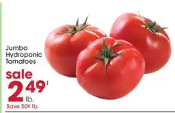 Giant Eagle Jumbo Hydroponic Tomatoes offer