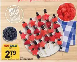 Food Lion Blueberries offer